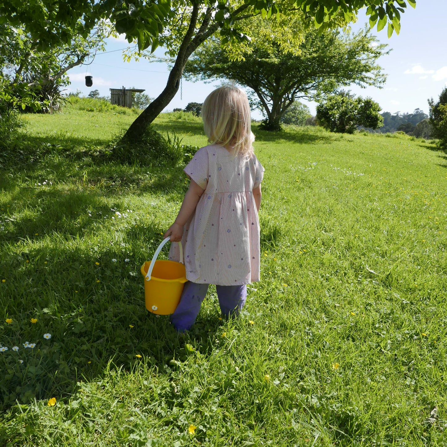 Summertime Bucket With Spout