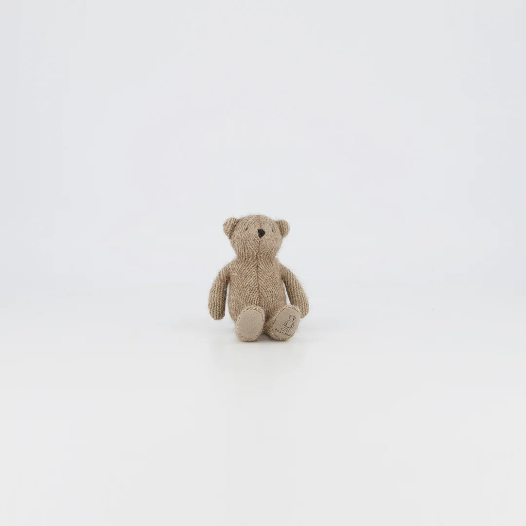 Small brown teddy bear on a white background