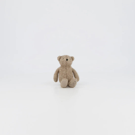 Small brown teddy bear on a white background