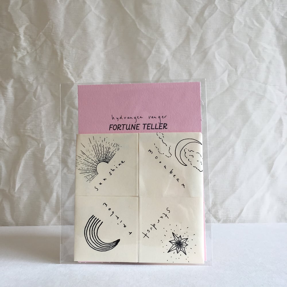 Fortune Teller